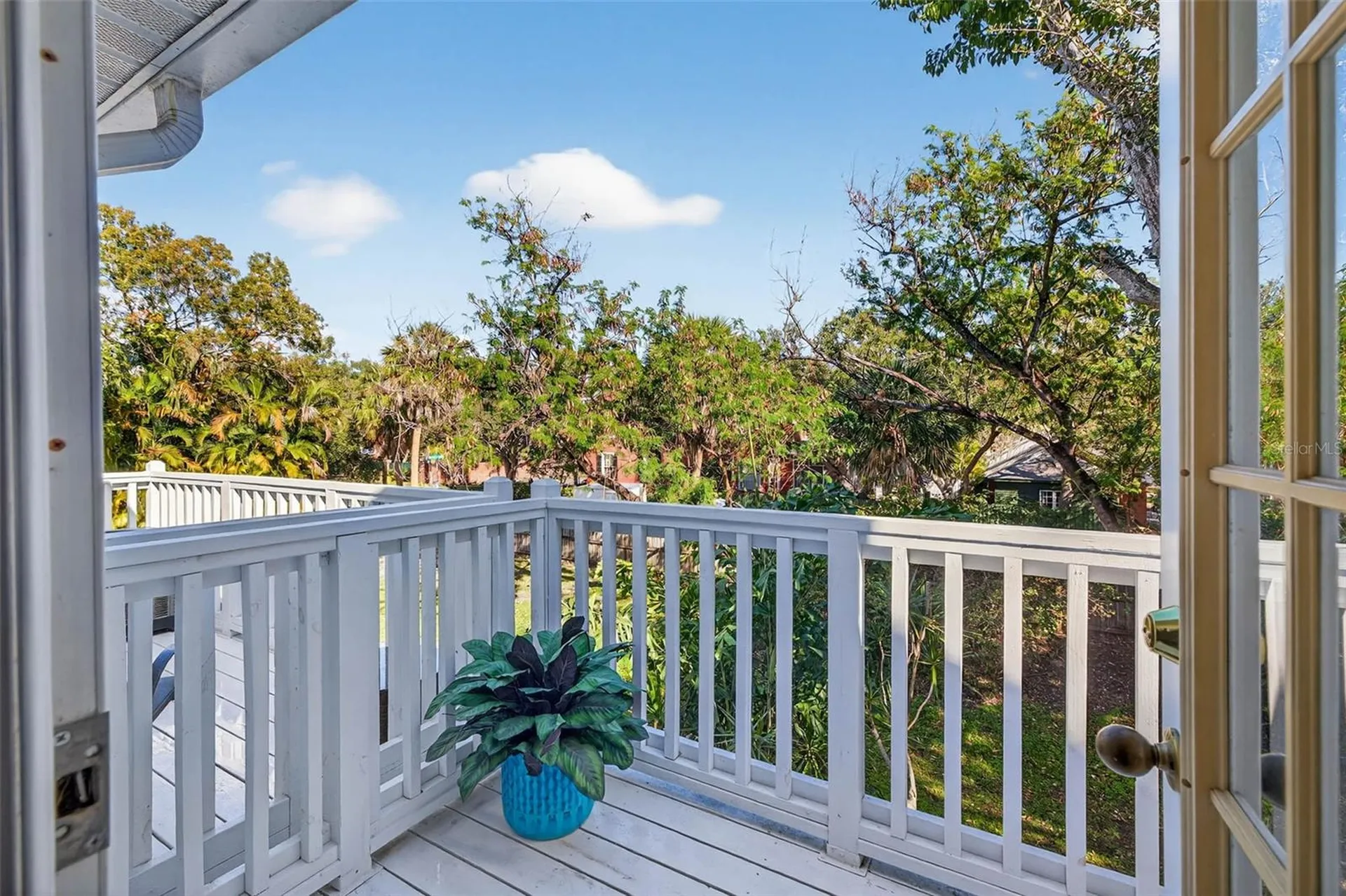 5300 Bayshore Boulevard Tampa FL 33611