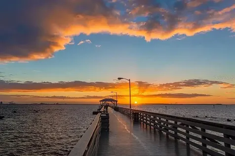 5300 Bayshore Boulevard Tampa FL 33611