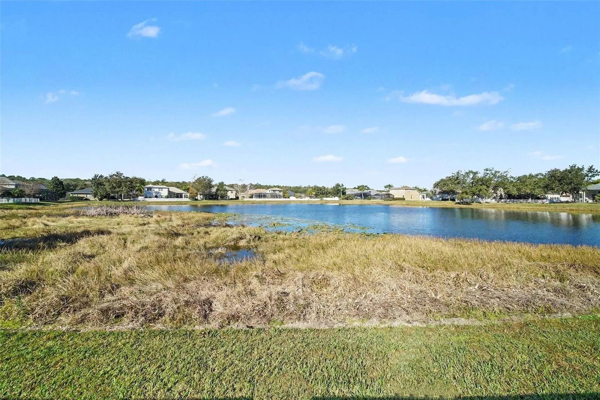 4809 Walnut Ridge Road Land O Lakes FL 34638