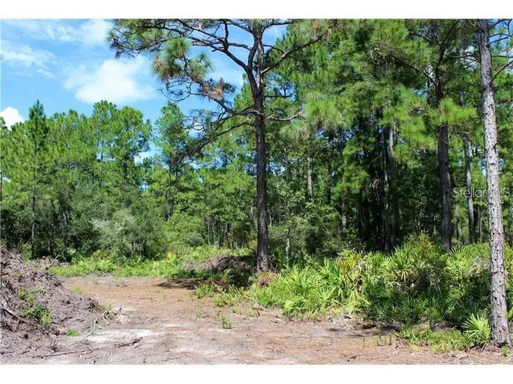 Apricot Avenue Eustis FL 32736