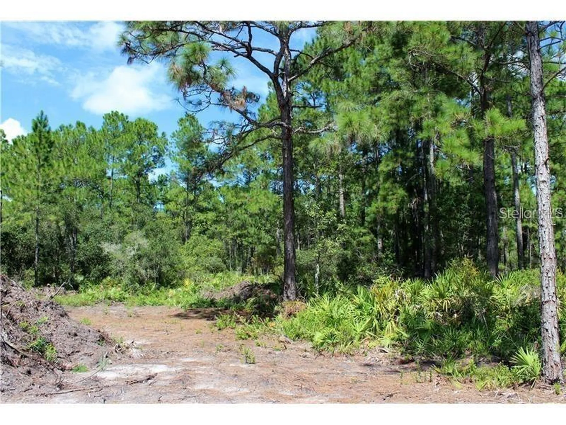 Apricot Avenue Eustis FL 32736