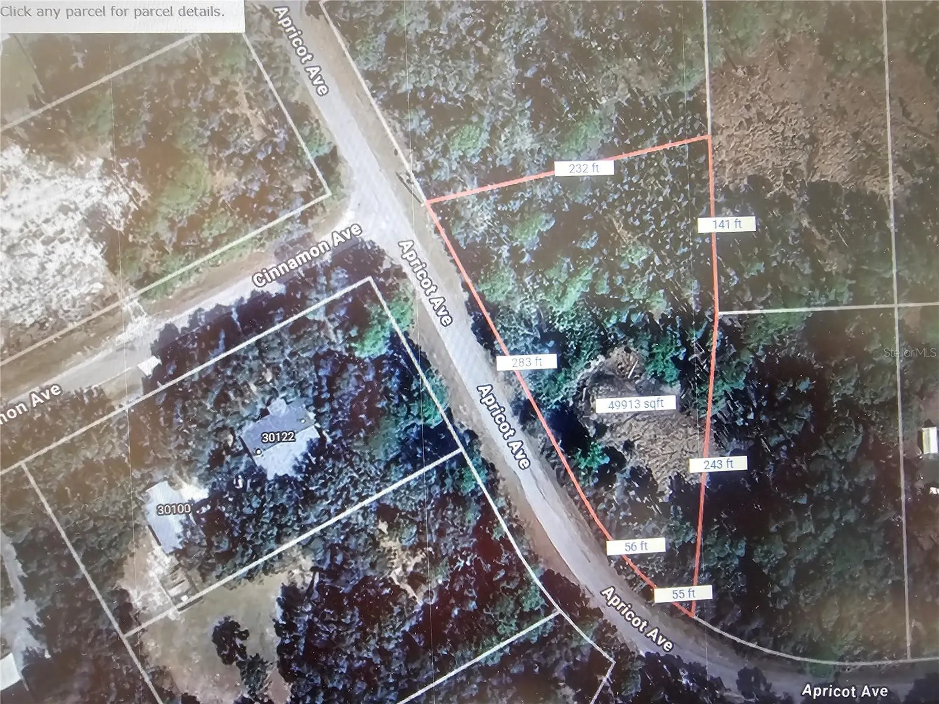 Apricot Avenue Eustis FL 32736