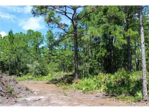 Apricot Avenue Eustis FL 32736
