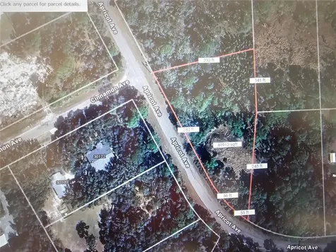 Apricot Avenue Eustis FL 32736