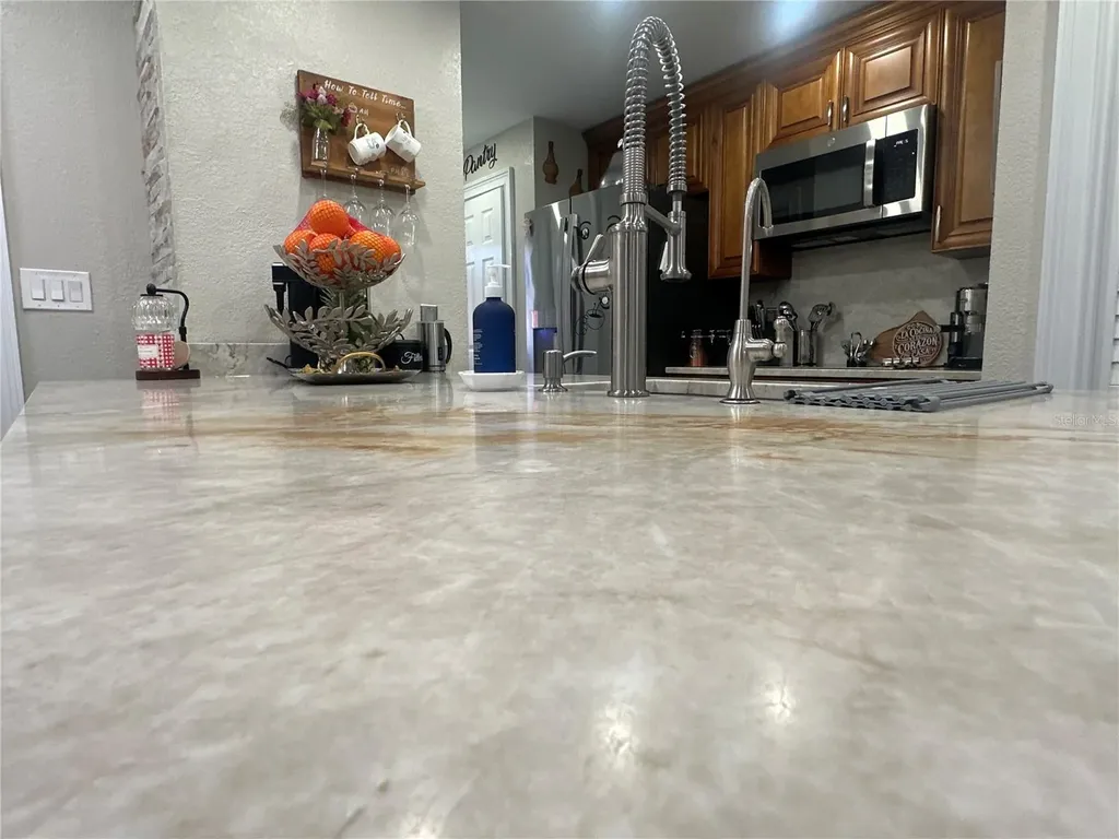 7009 Salinas Court Tampa FL 33634