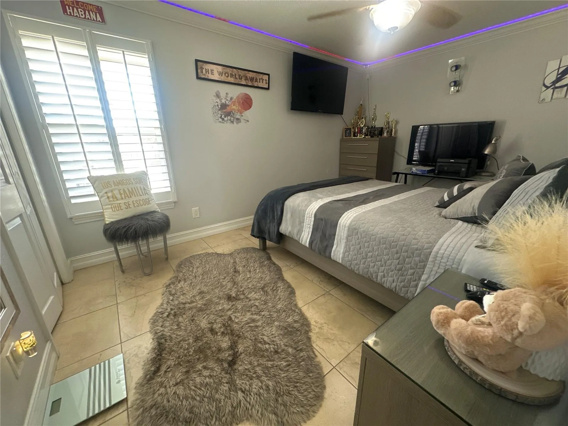 7009 Salinas Court Tampa FL 33634
