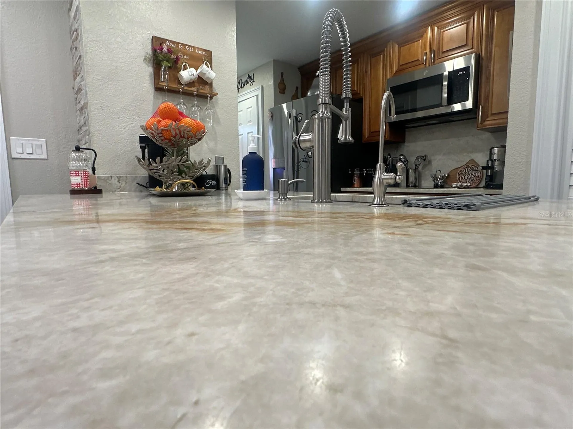 7009 Salinas Court Tampa FL 33634
