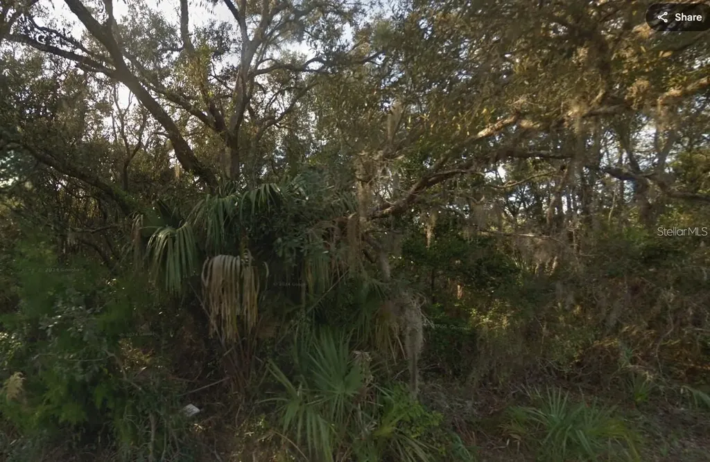 6830 W Twins Crescent Drive Homosassa FL 34446