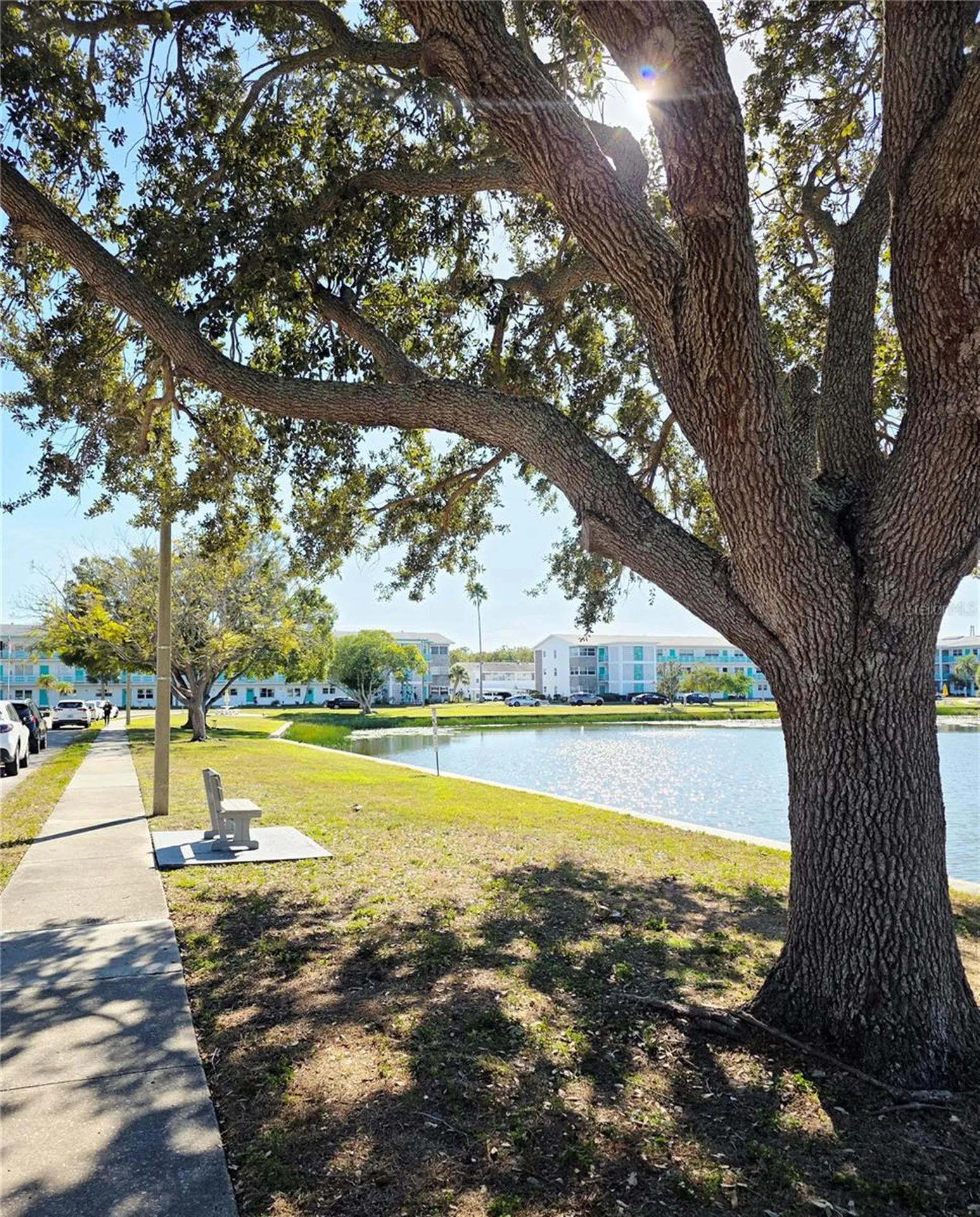 5945 21st Street N St Petersburg FL 33714