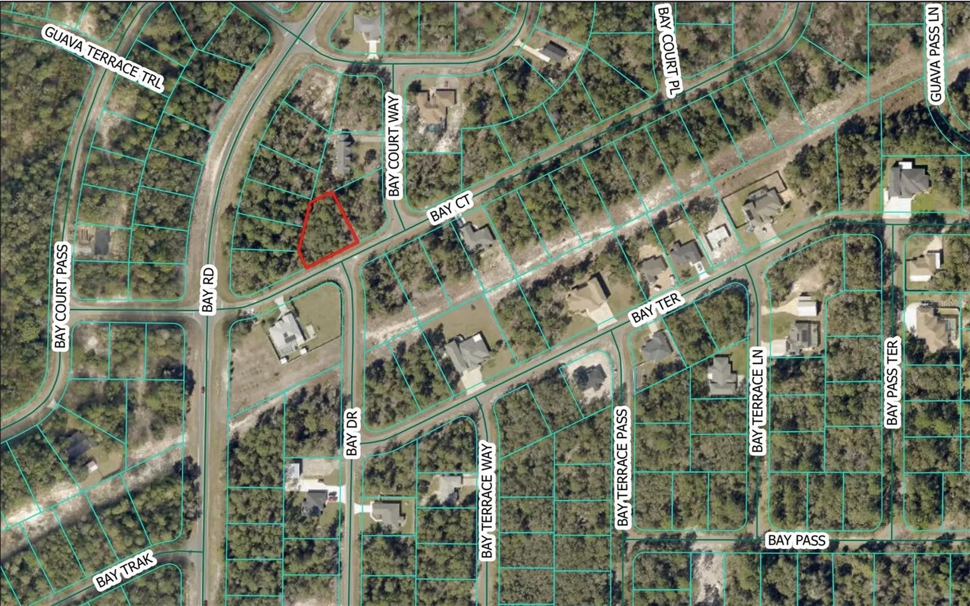 Bay Court Ocklawaha FL 32179