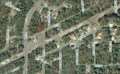Bay Court Ocklawaha FL 32179