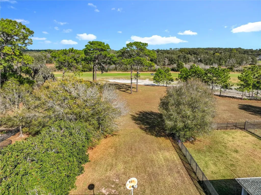 33411 Terragona Drive Sorrento FL 32776