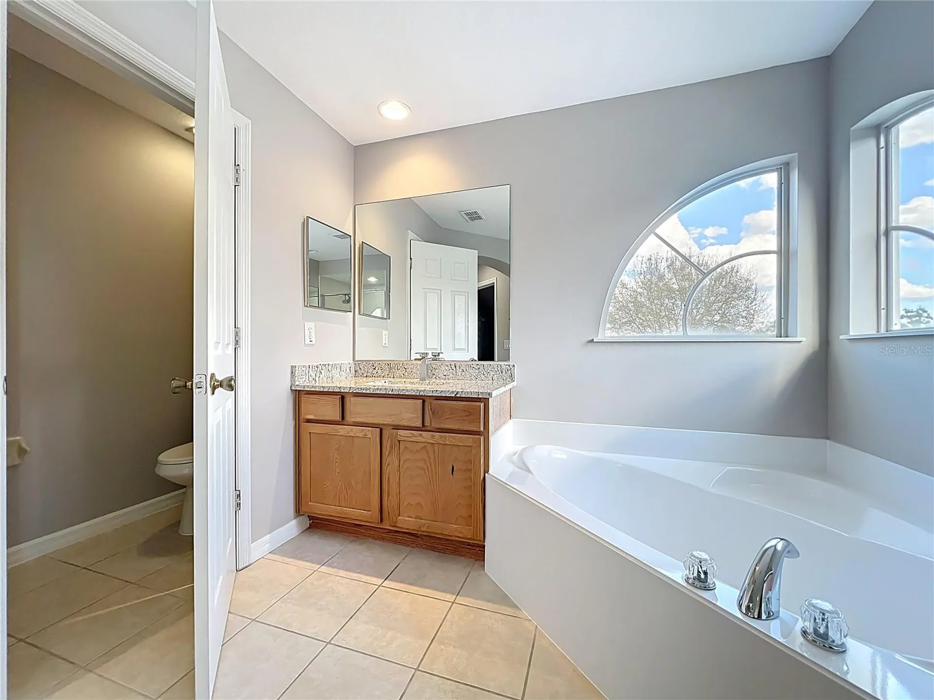33411 Terragona Drive Sorrento FL 32776