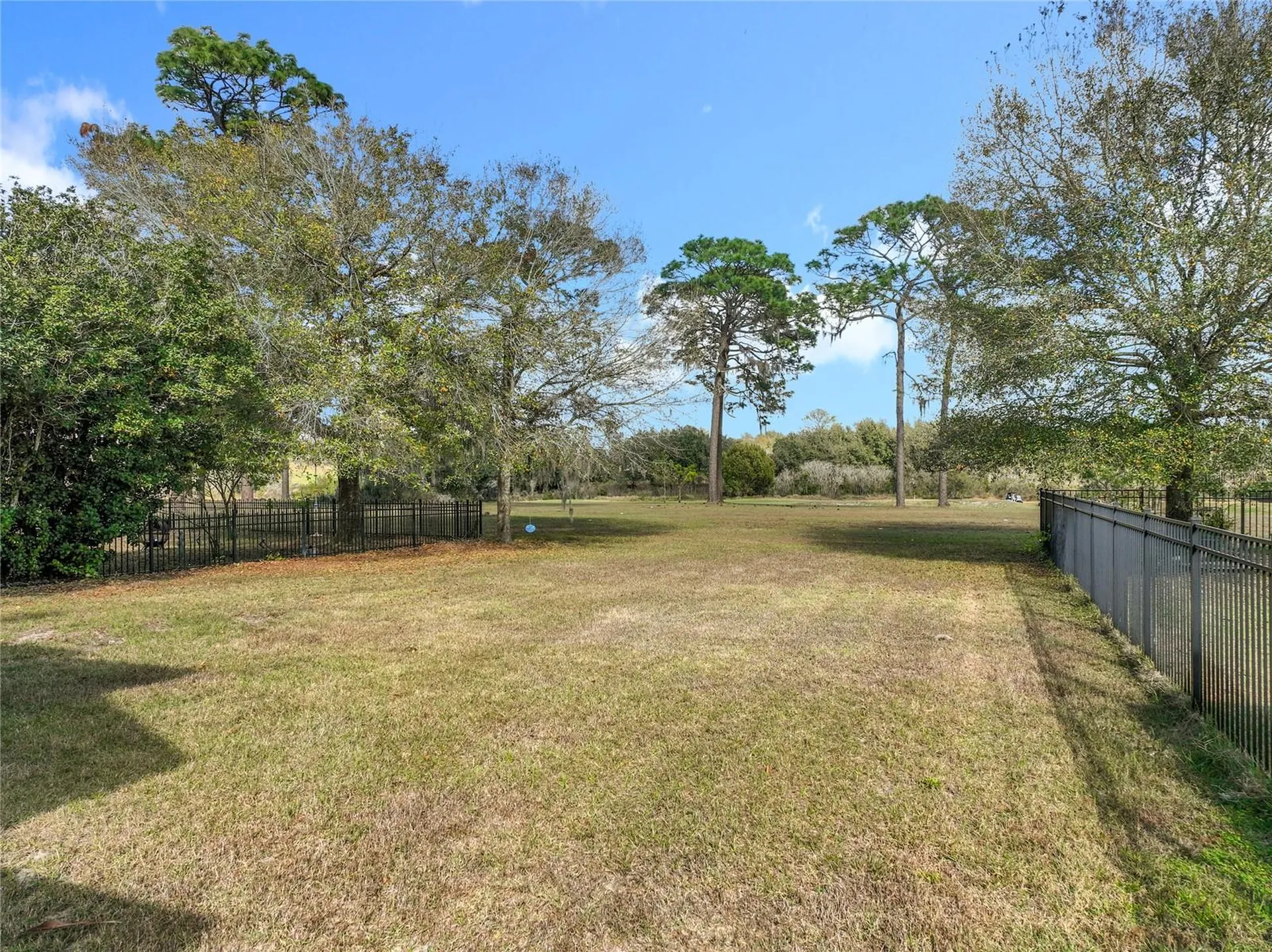33411 Terragona Drive Sorrento FL 32776