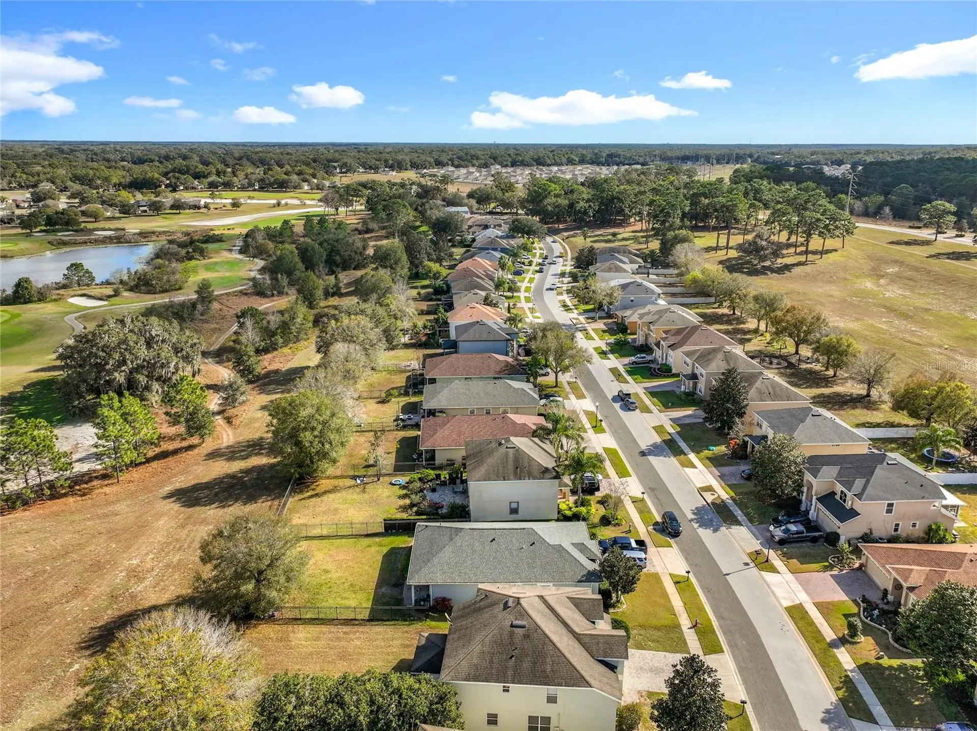 33411 Terragona Drive Sorrento FL 32776