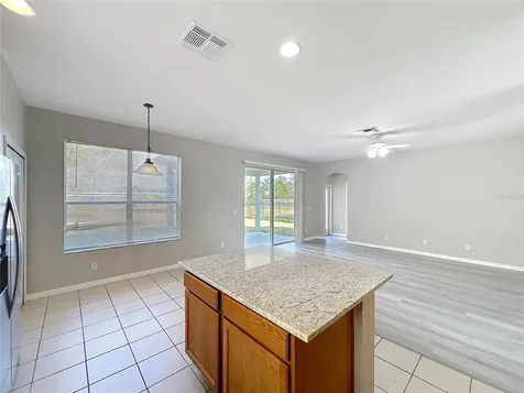 33411 Terragona Drive Sorrento FL 32776