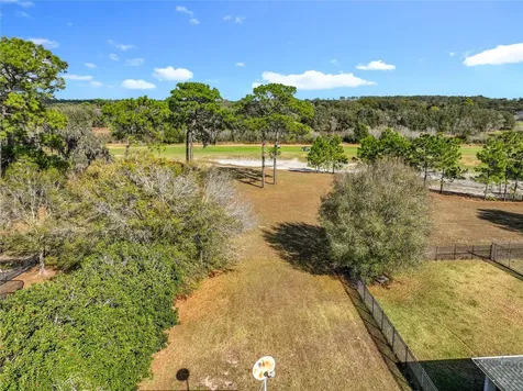 33411 Terragona Drive Sorrento FL 32776