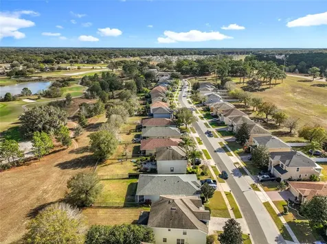 33411 Terragona Drive Sorrento FL 32776