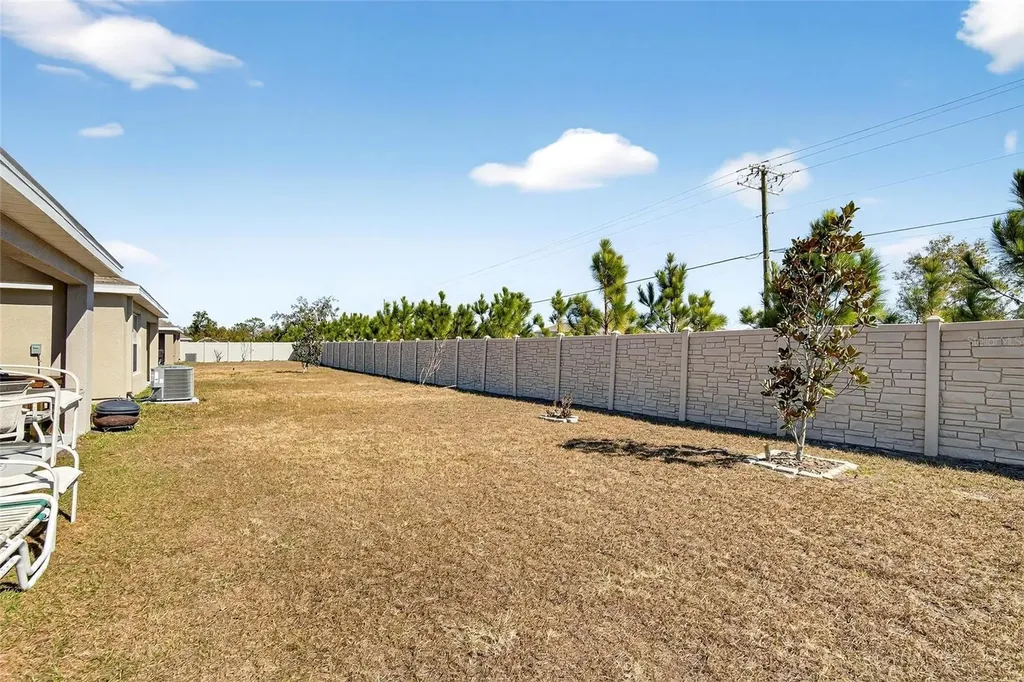 16547 Mosaic Oar Drive Wimauma FL 33598