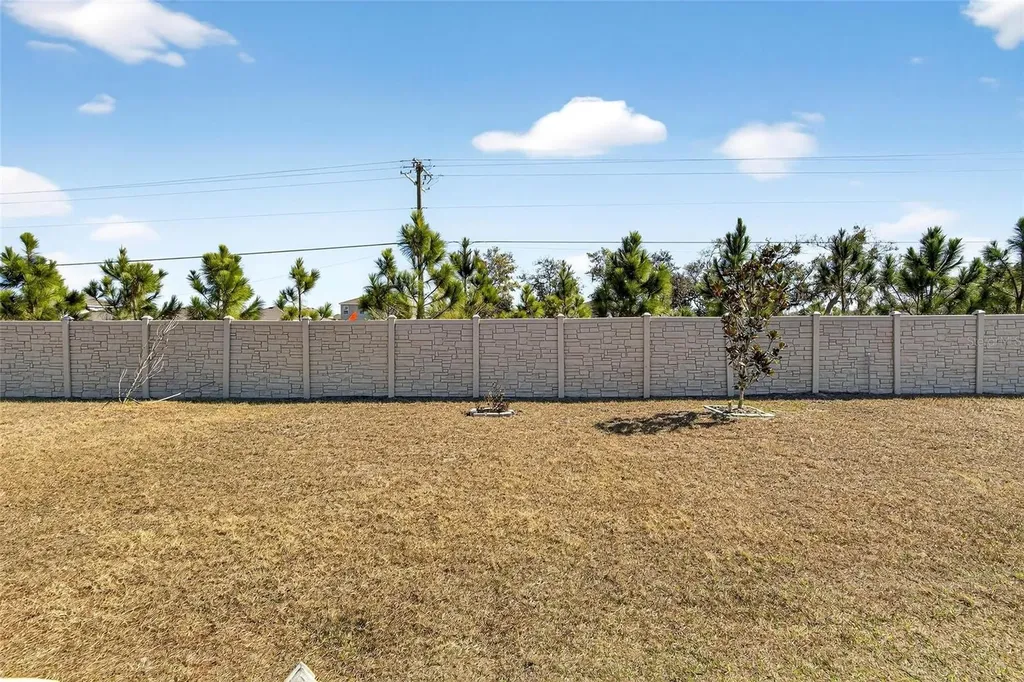 16547 Mosaic Oar Drive Wimauma FL 33598