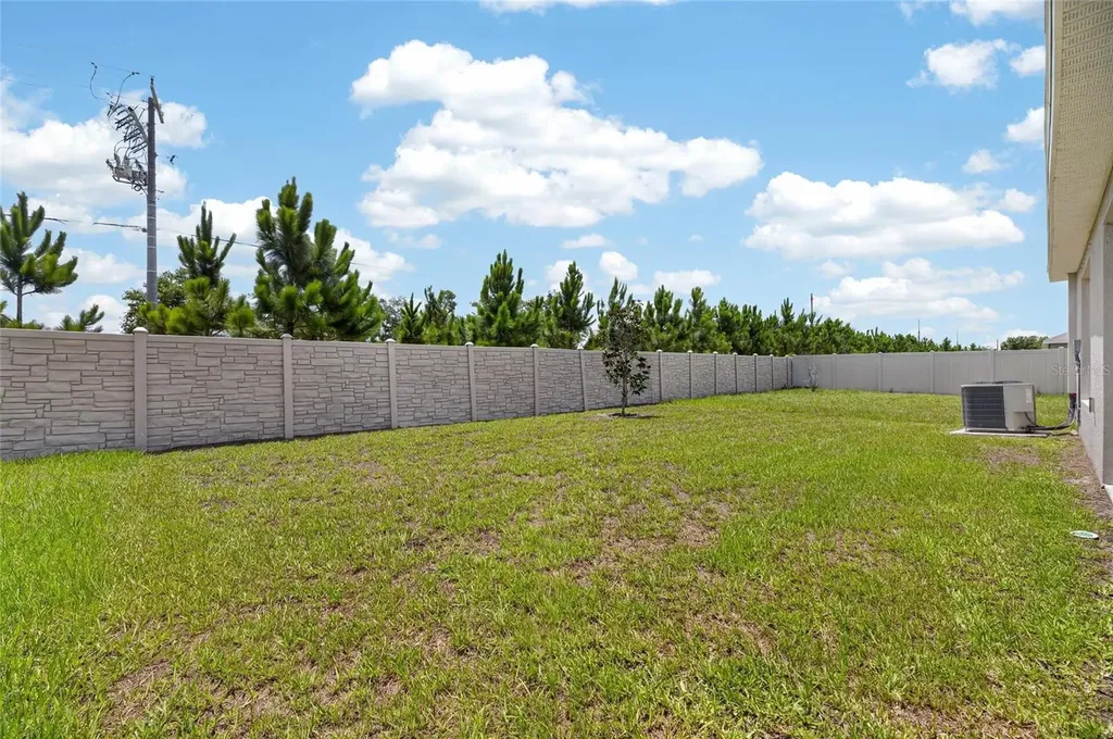16547 Mosaic Oar Drive Wimauma FL 33598
