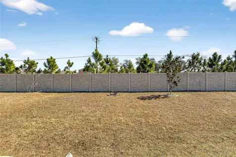 16547 Mosaic Oar Drive Wimauma FL 33598