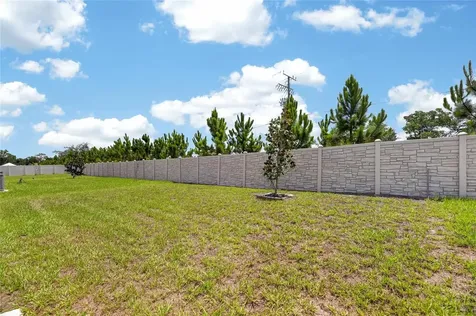 16547 Mosaic Oar Drive Wimauma FL 33598