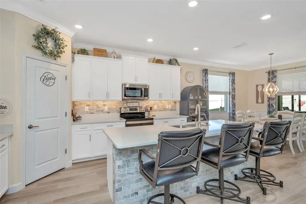 31493 Cannon Rush Drive San Antonio FL 33576