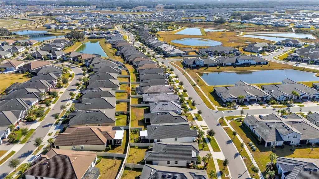 31493 Cannon Rush Drive San Antonio FL 33576