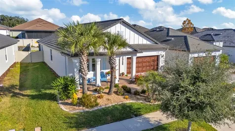 31493 Cannon Rush Drive San Antonio FL 33576