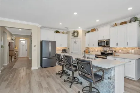 31493 Cannon Rush Drive San Antonio FL 33576