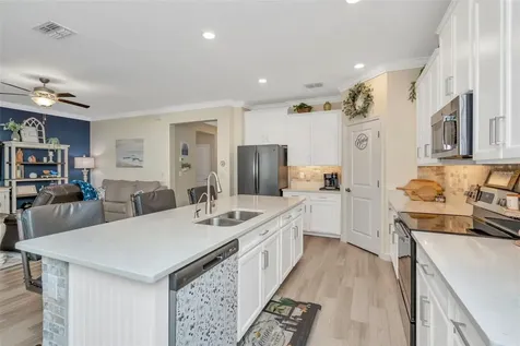 31493 Cannon Rush Drive San Antonio FL 33576