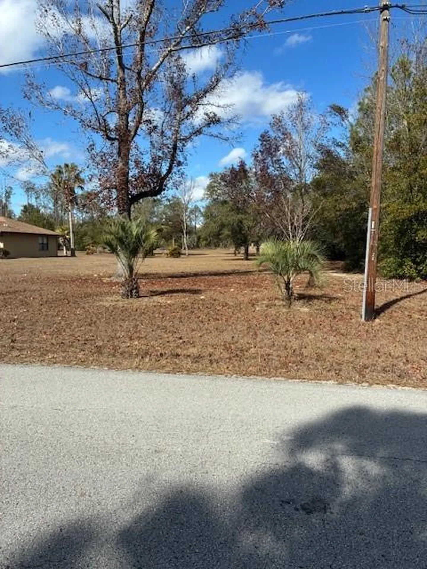 20929 SW Audubon Avenue Dunnellon FL 34431