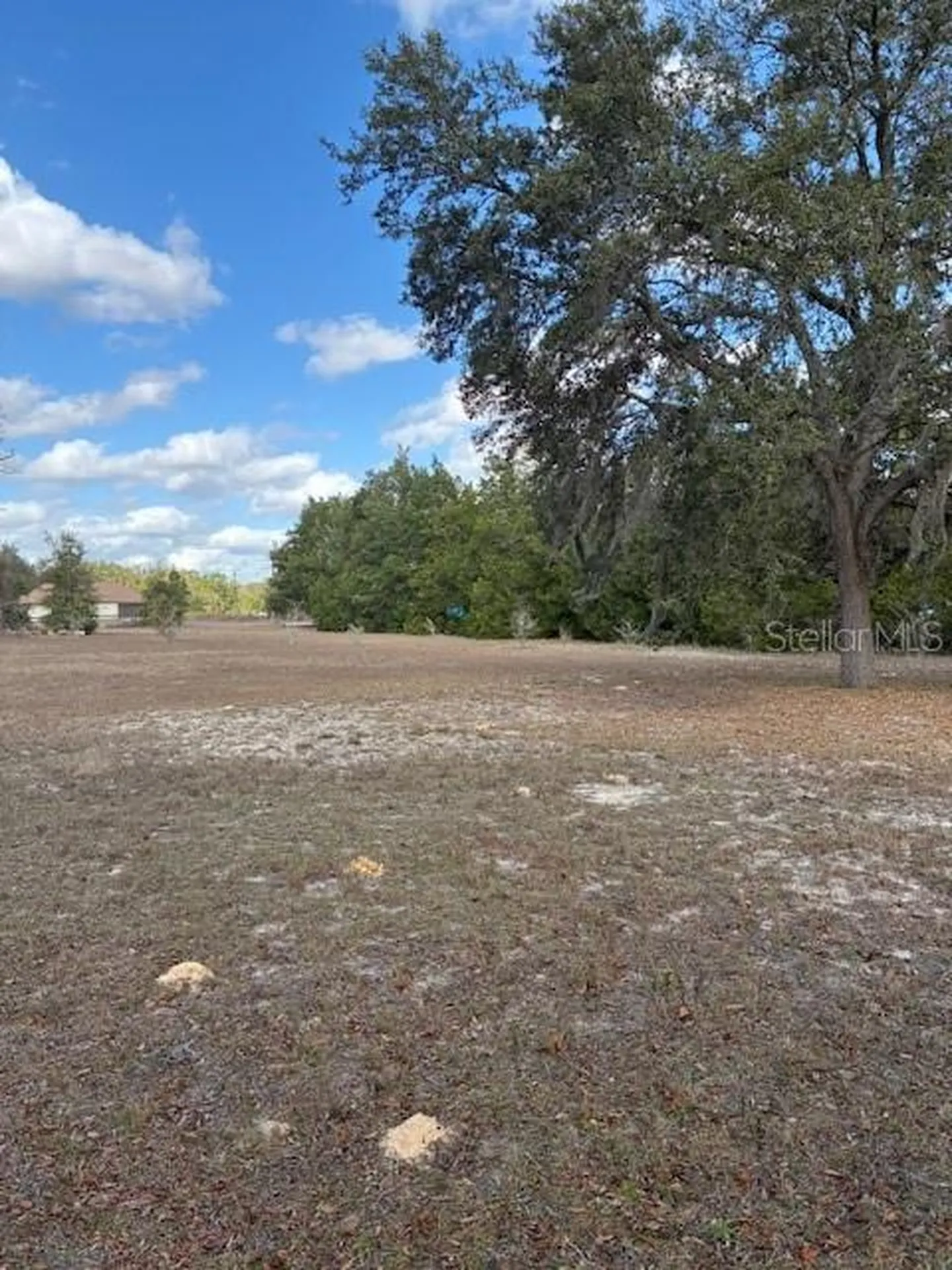 20929 SW Audubon Avenue Dunnellon FL 34431