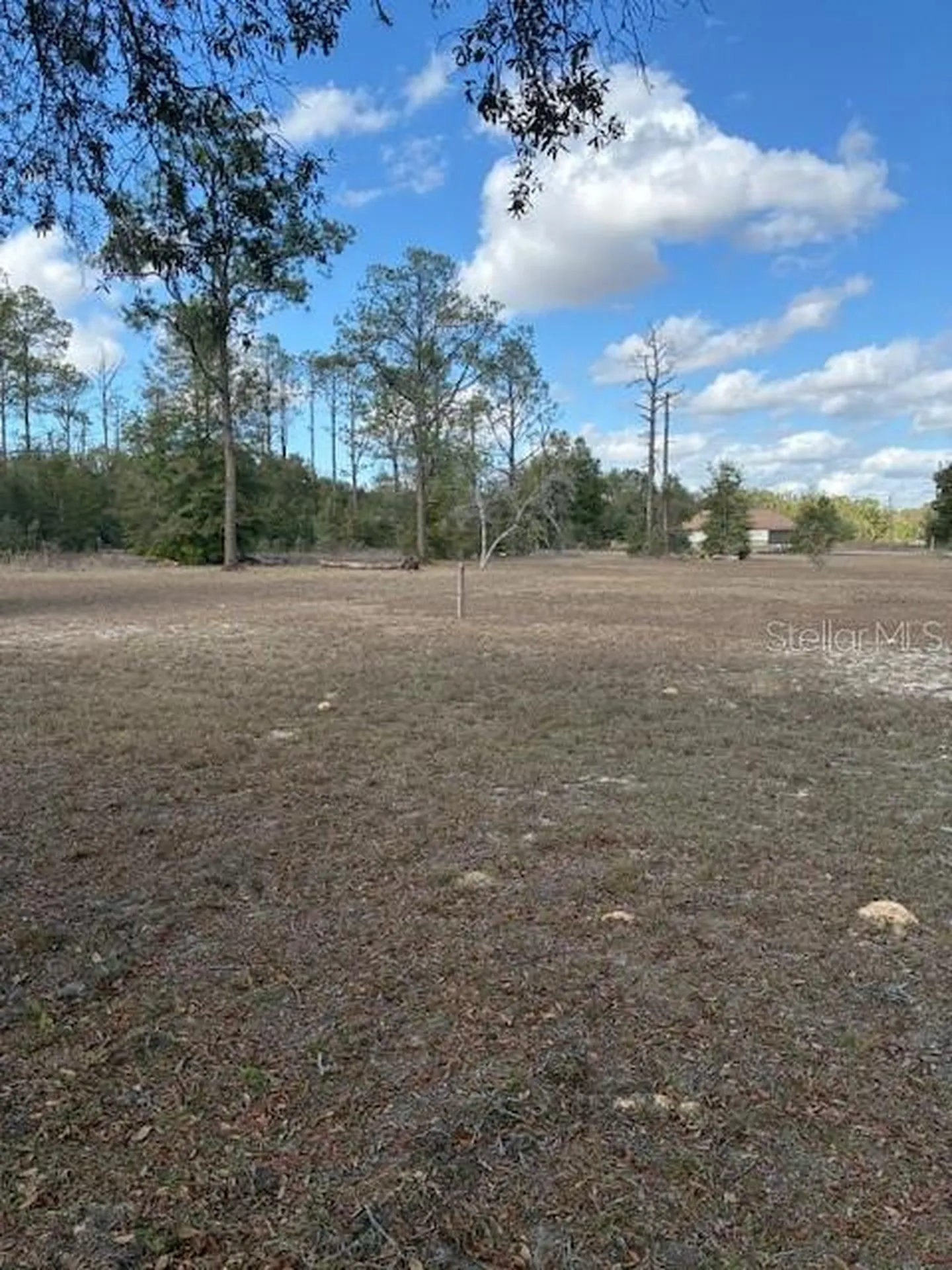 20929 SW Audubon Avenue Dunnellon FL 34431
