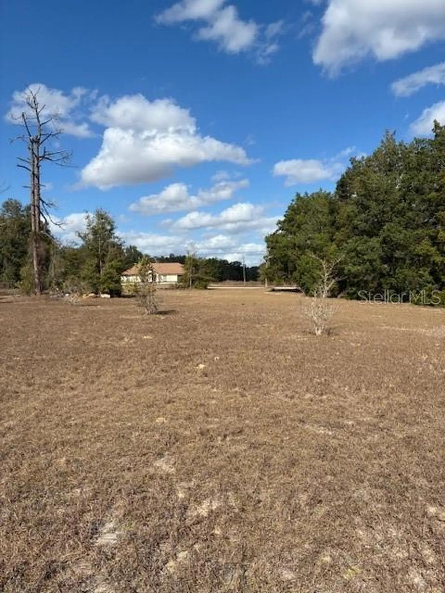 20929 SW Audubon Avenue Dunnellon FL 34431