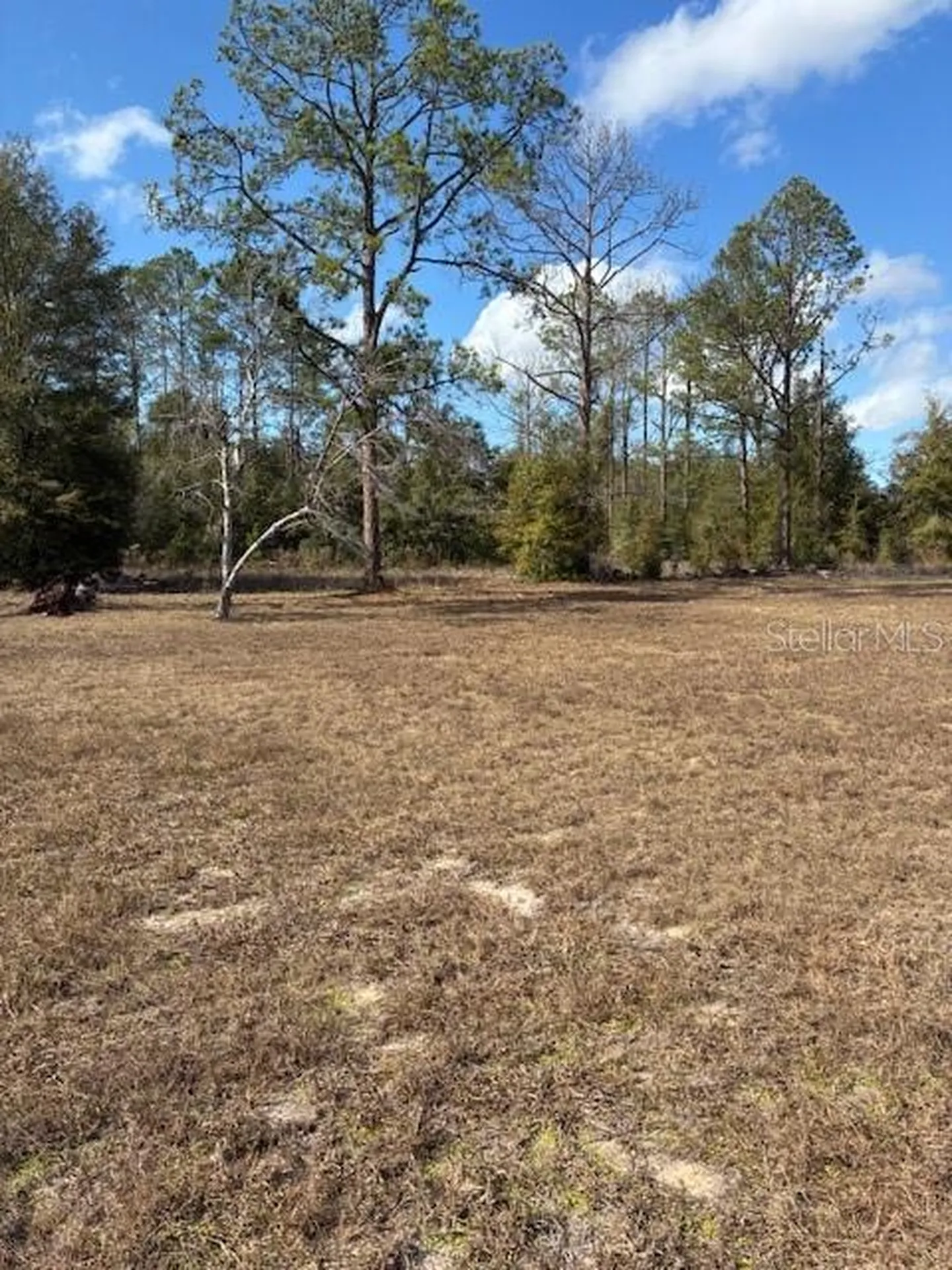 20929 SW Audubon Avenue Dunnellon FL 34431