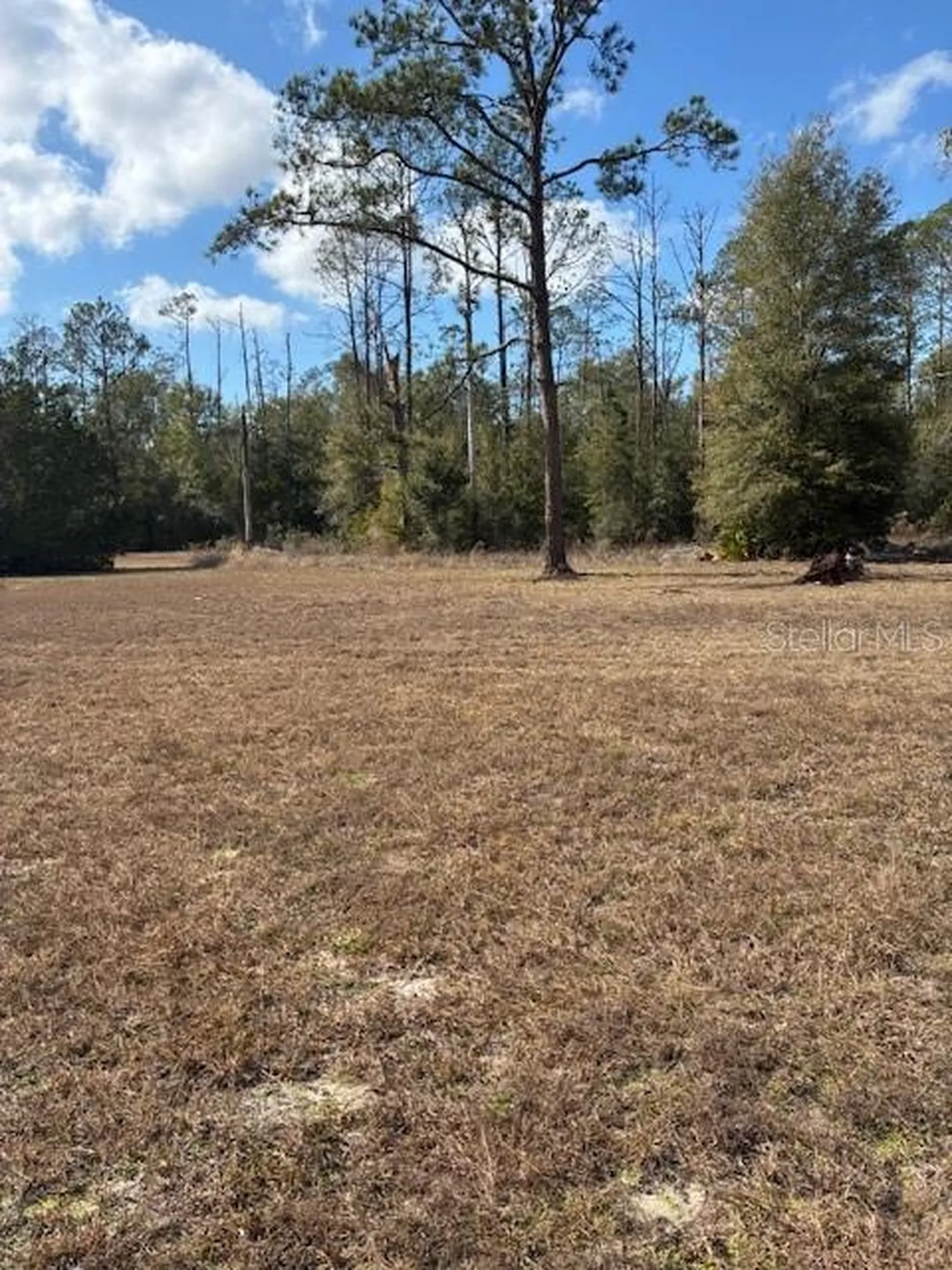 20929 SW Audubon Avenue Dunnellon FL 34431