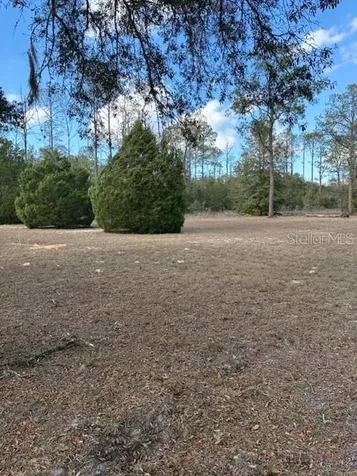 20929 SW Audubon Avenue Dunnellon FL 34431