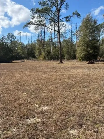 20929 SW Audubon Avenue Dunnellon FL 34431