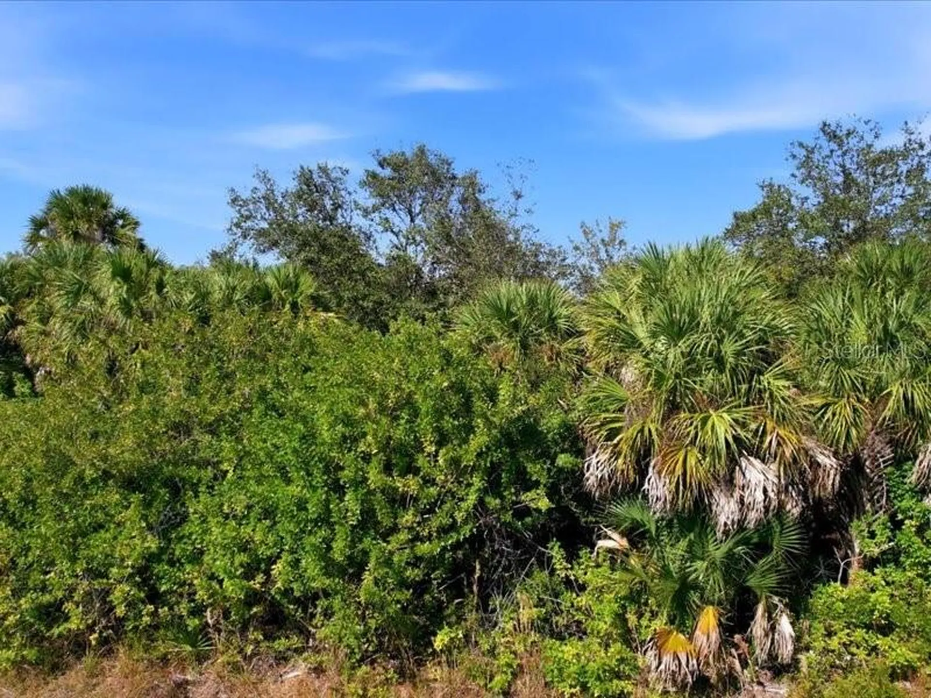 17378 Quincy Avenue Port Charlotte FL 33948