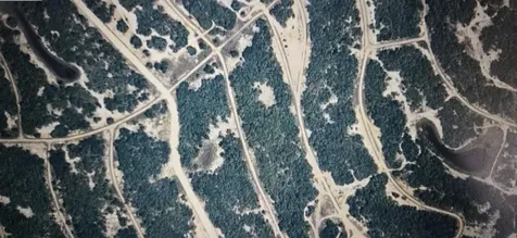 241 Rhythm Drive Lake Placid FL 33852