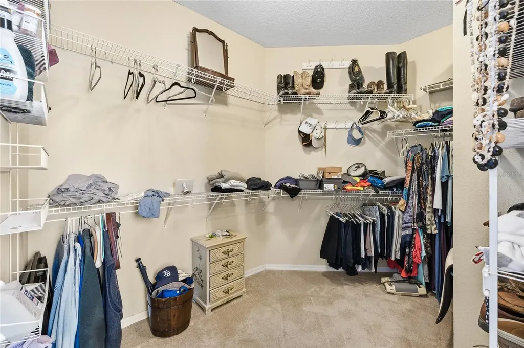 18955 Maisons Drive Lutz FL 33558