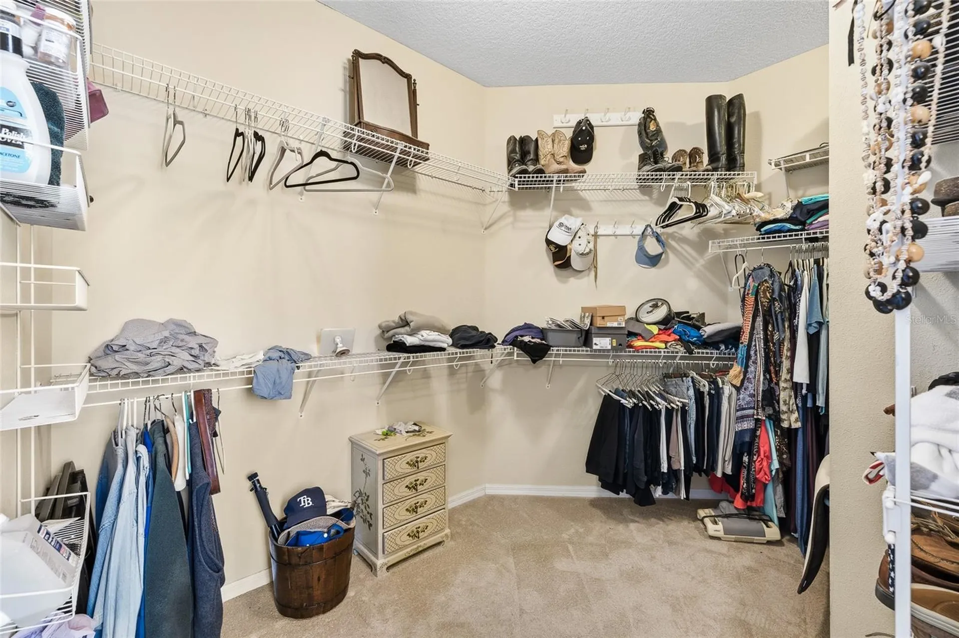 18955 Maisons Drive Lutz FL 33558