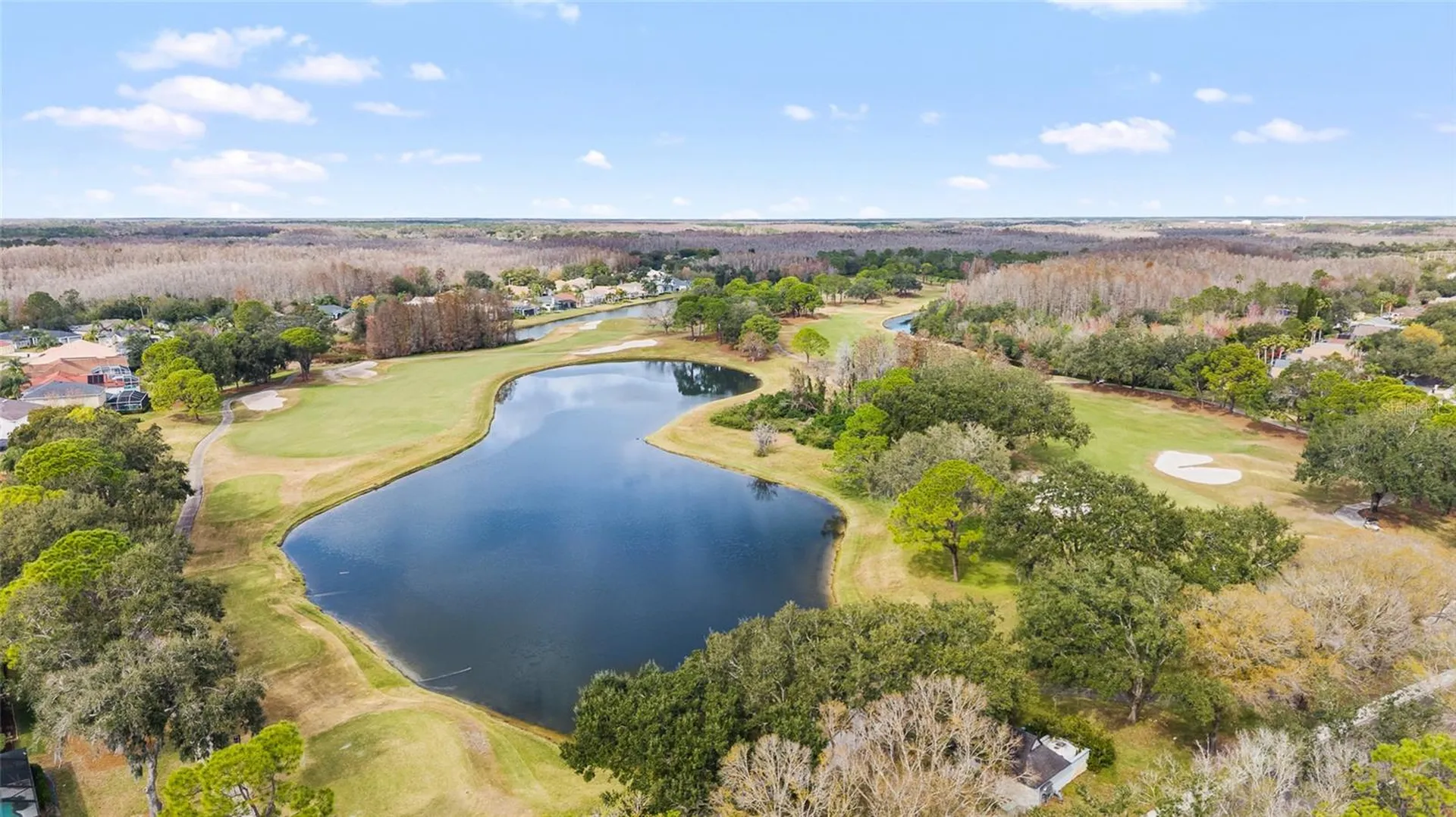 18955 Maisons Drive Lutz FL 33558