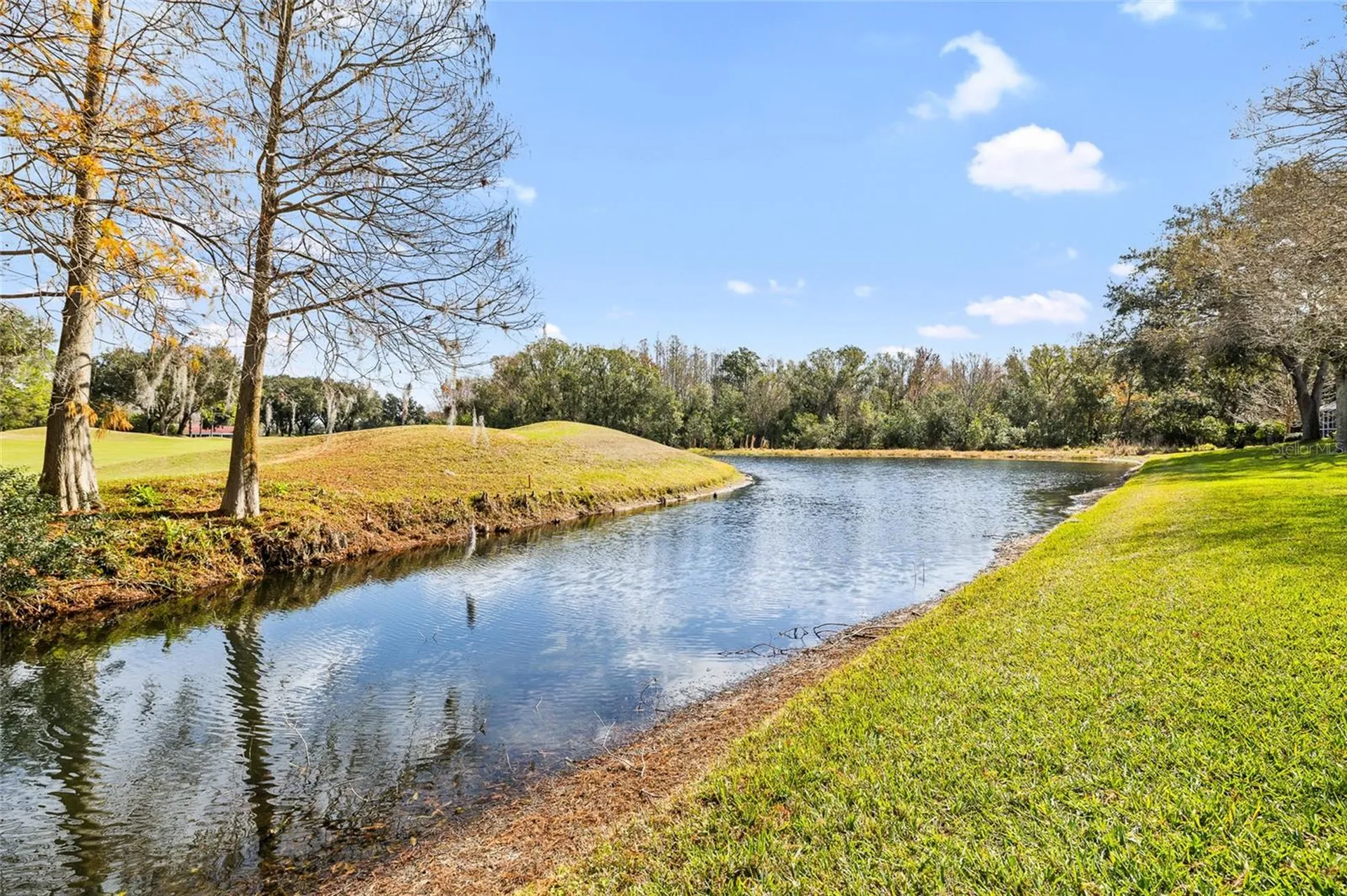 18955 Maisons Drive Lutz FL 33558