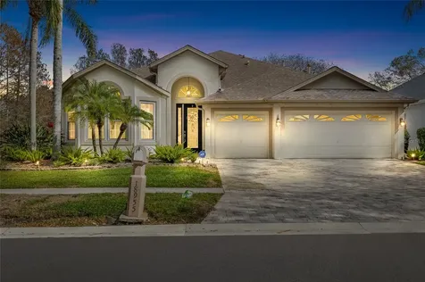 18955 Maisons Drive Lutz FL 33558