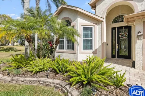 18955 Maisons Drive Lutz FL 33558