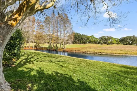 18955 Maisons Drive Lutz FL 33558