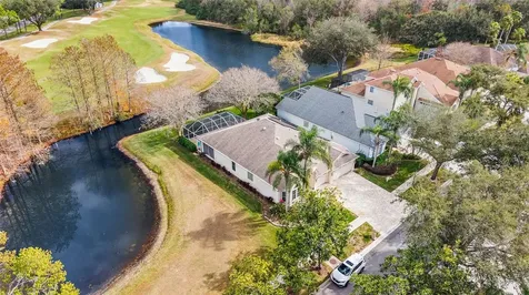 18955 Maisons Drive Lutz FL 33558